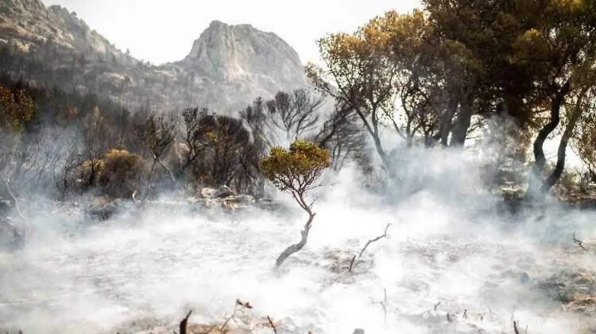 Cambio climático (2)